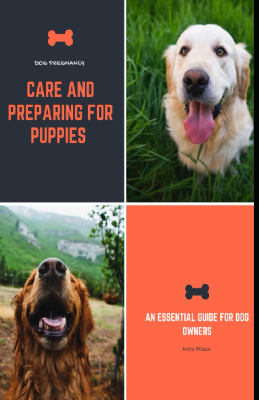 Dog Pregnancy, signs Care and Preparing for Puppies