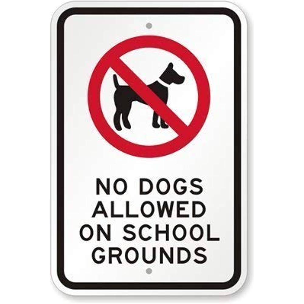 Biopracess No Dogs Allowed On School Grounds with Graphic Black Red On White Warning Tin Sign 8x12 inches
