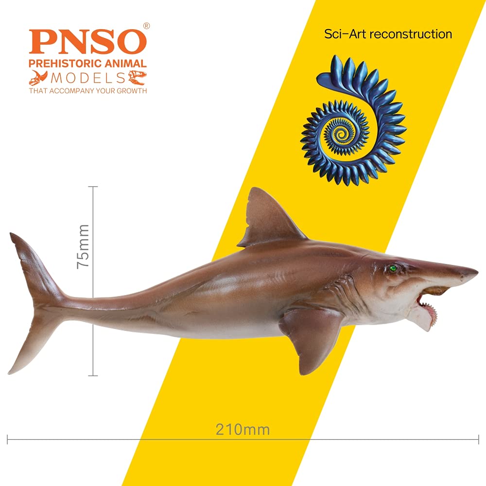 AMITD Prehistoric Animal Models (43 Haylee The Helicoprion)