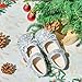 GINFIVE Toddler Girls Dress Shoes Little Girls Mary Janes Ballerina Flats Silve Shoes Toddler 12