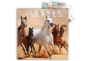 Horses Calendar 2024 with Sticker Pack