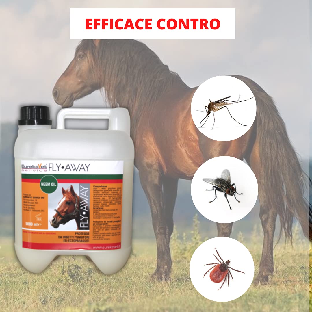 FLY AWAY Eurekavet Antiparassitario 100% Naturale per Cavalli con Olio di Neem - Efficacie Contro: Mosche, Tafani, Flebotomi, Zanzare, Pulci, Zecche, Acari - Formula Potenziata (Tanica da 5 Litri)