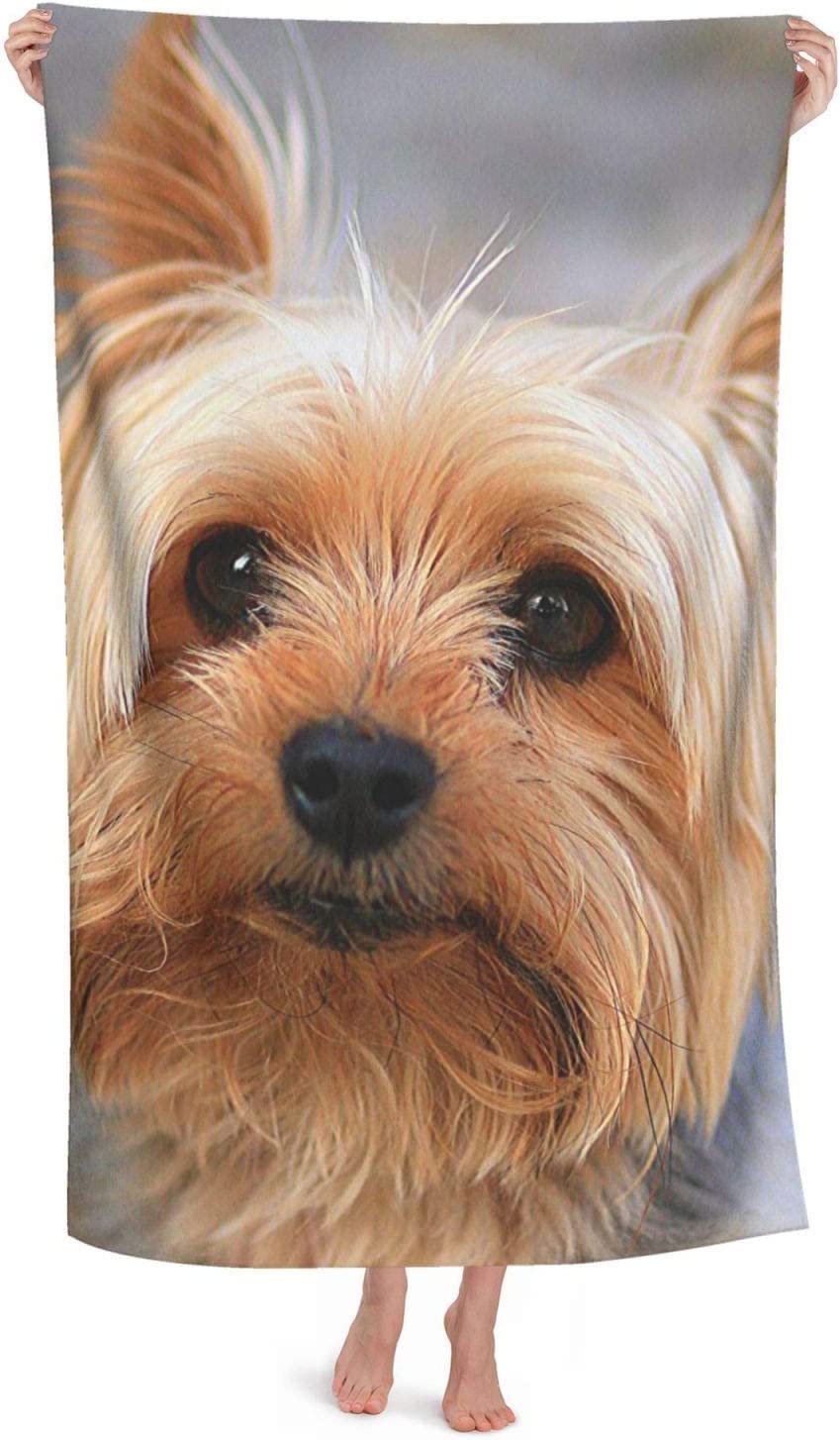 LSRCPD Cutest Yorkies Beach Towel Highly Absorbent Microfiber Beach Blanket Soft Bath Towels 80X130 CM