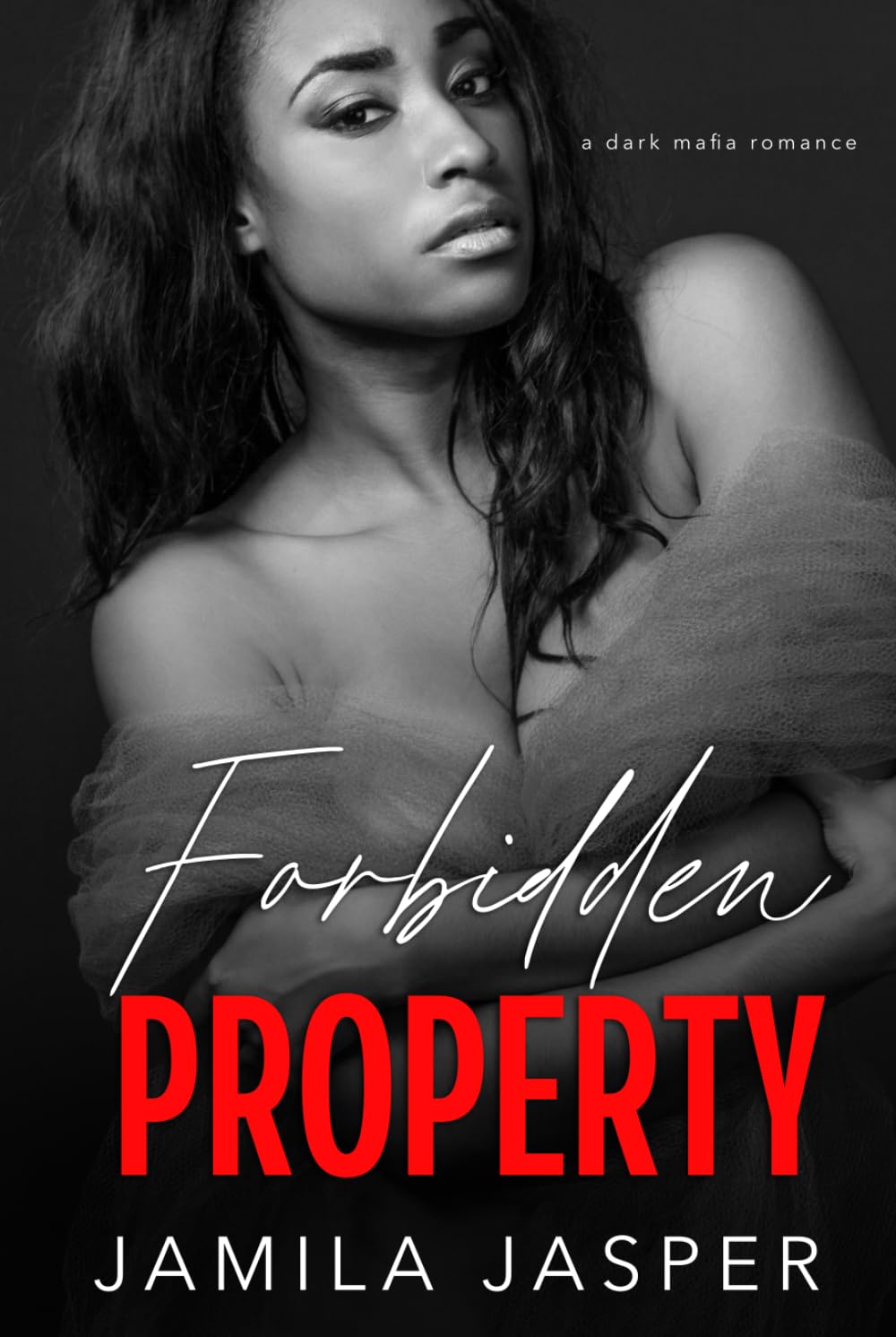 Forbidden Property: Dark Mafia BWWM Romance (The Buffalo Italian Mob Family)