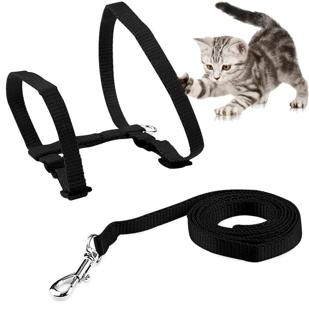 PSK Cat and Small Pet Nylon Strap Collar with Adjustable Walking Harness Leash (Black) 1