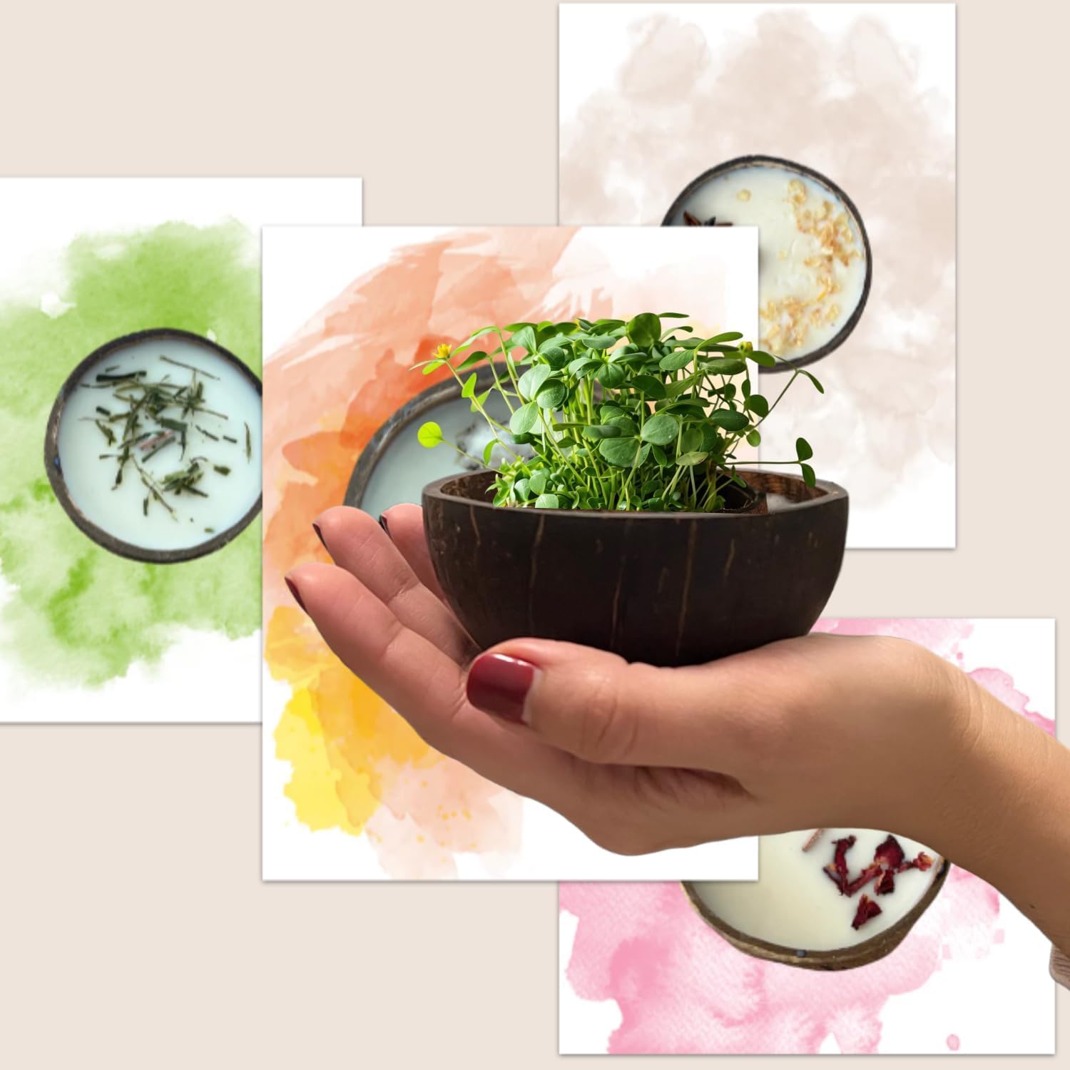 Handgemachte Duftkerze aus Kokosnuss - 100% pflanzliches Sojawachs ~40h - Vegan ohne Phthalate/CMR - zum Einpflanzen (Samen + Blumenerde enthalten) - MAFLOREA - Aroma: (Exotische Früchte)