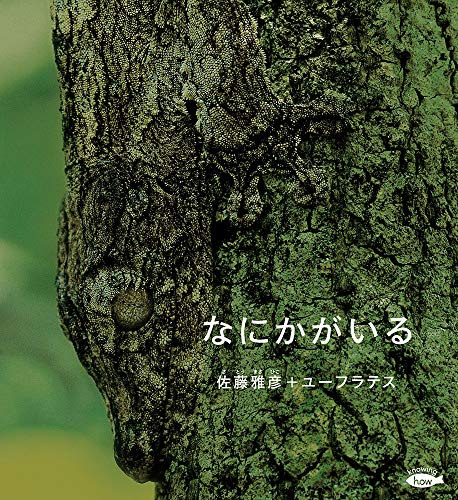 なにかがいる (かがくのとも絵本) なにかがいる (かがくのとも絵本)