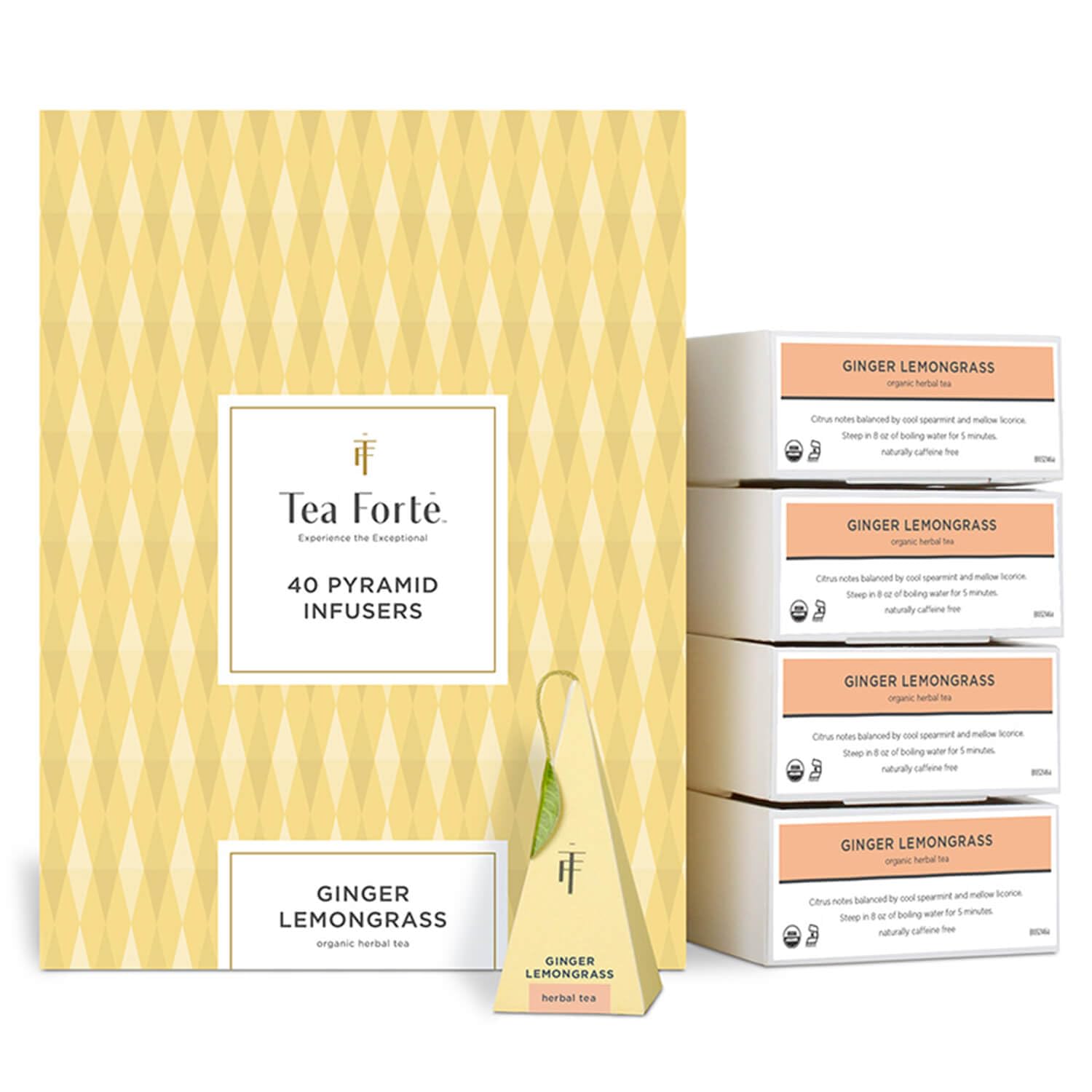 Tea Forte Ginger Lemongrass | Packung mit 40 Aufgusspyramiden | Bio-Kräutertee