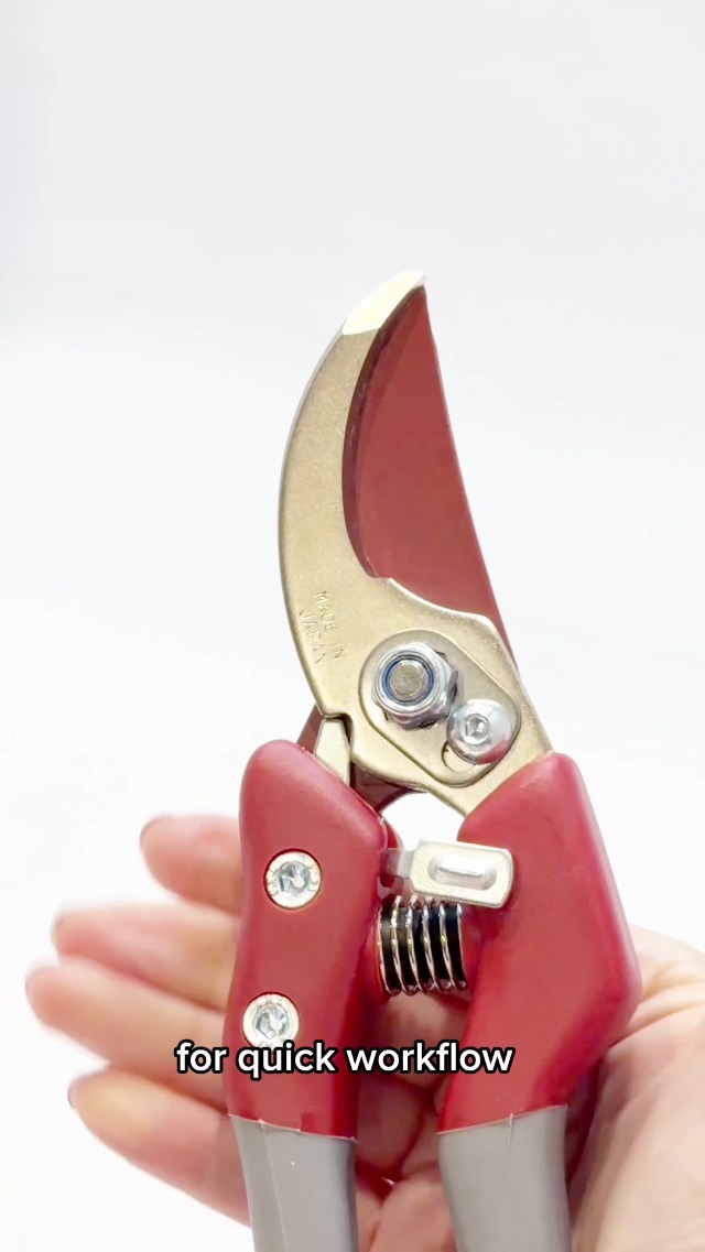 Tijeras profesionales de podar CHIKAMASA PS-8PLUS-R miniatura 7