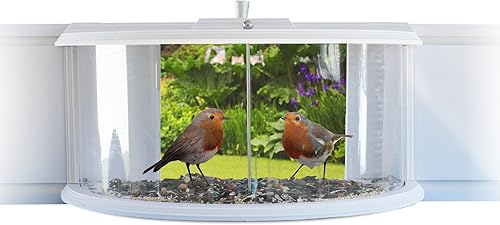 El comedero para pájaros de ventana EMAISTORE con césped artificial y bebedero - Accesorio con vista de 180 desde el interior de tu hogar - está