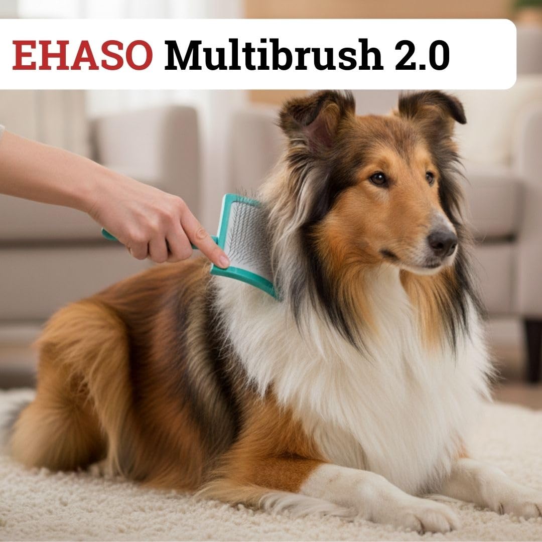 EHASO Hochwertige Hundebürste Multibrush türkis, große Ausführung | Entfernen Sie mühelos und schmerzfrei