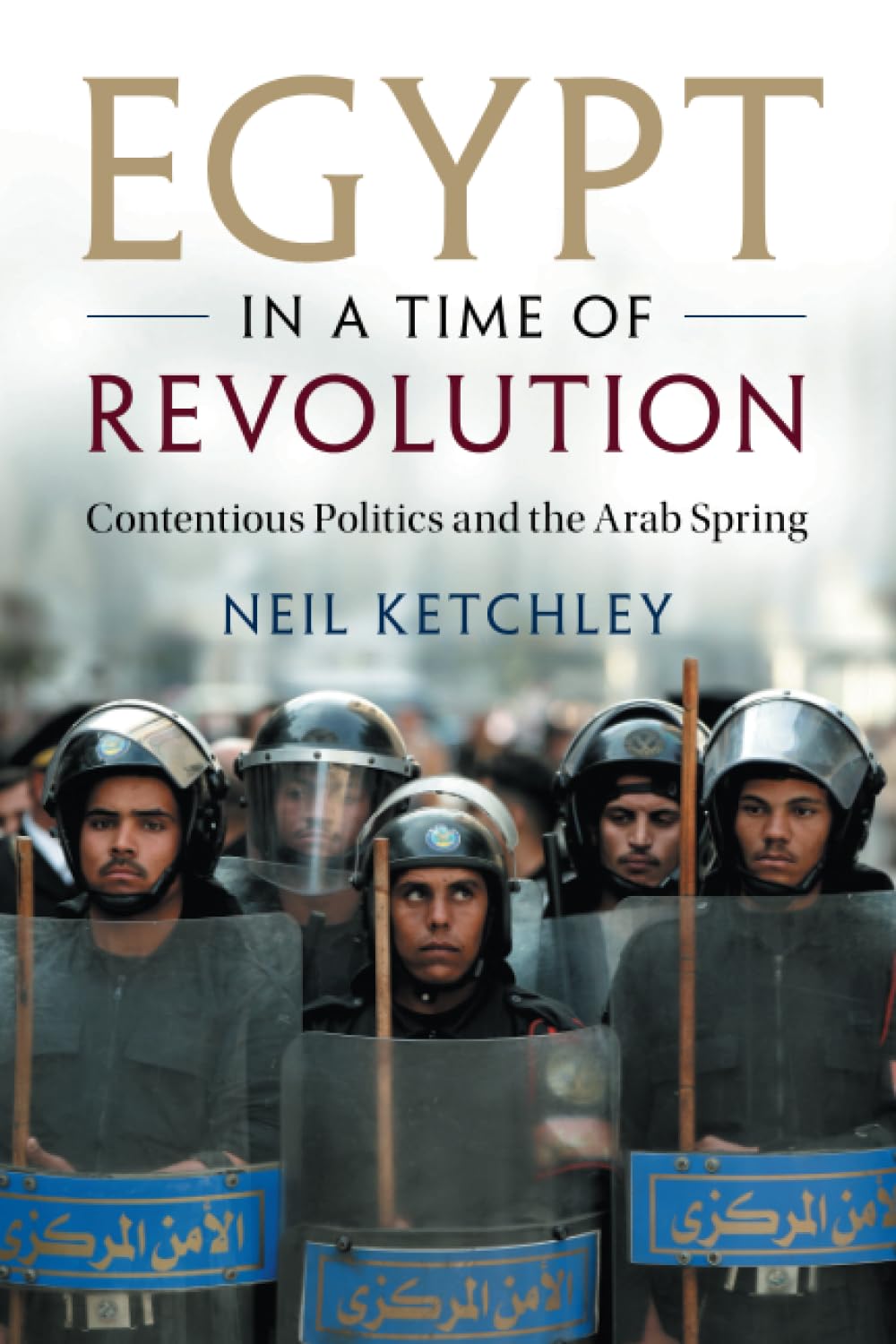 Egypt in a Time of Revolution: Contentious Politics and the Arab Spring (Cambridge Studies in Contentious Politics)