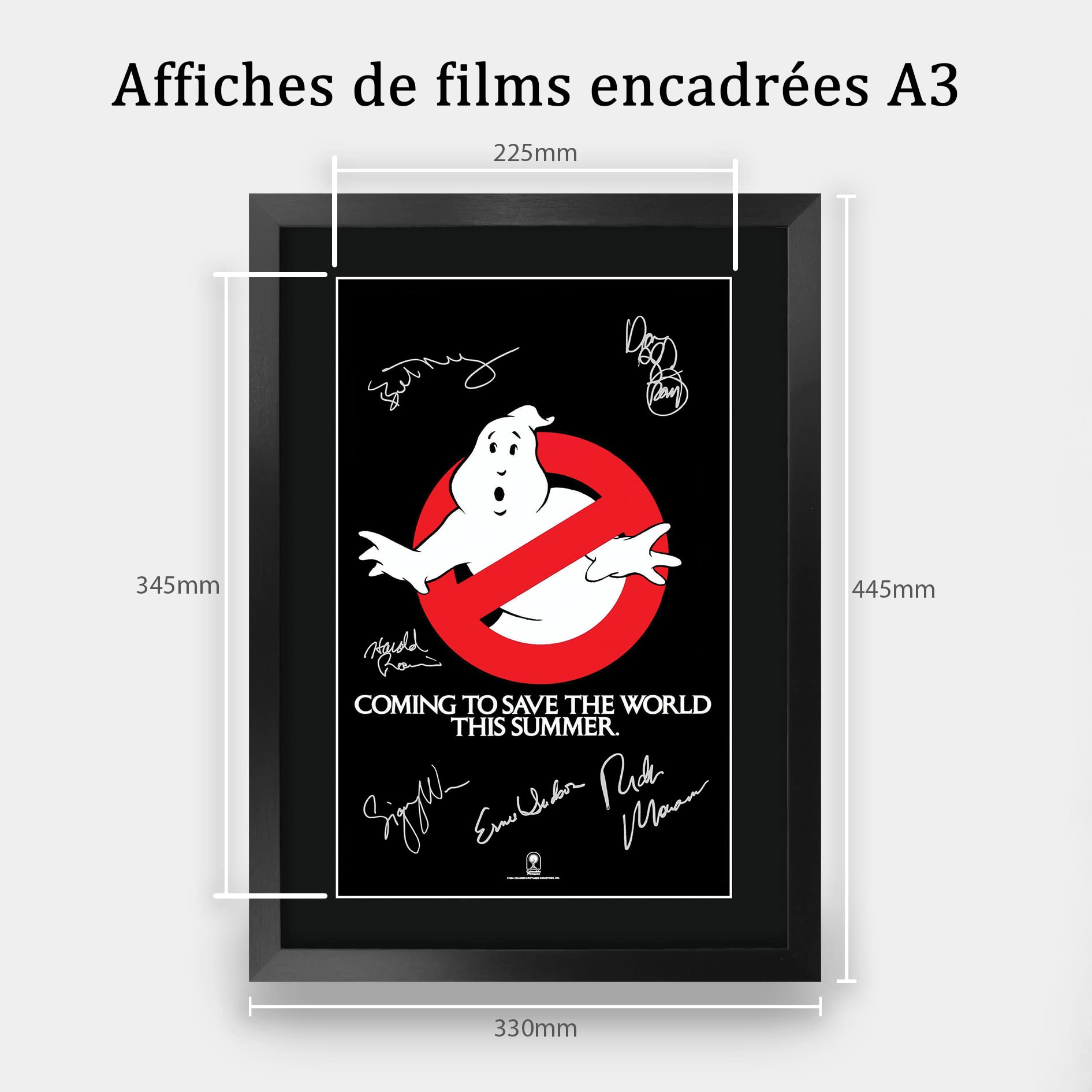 HWC Trading FR A3 2 Fast 2 Furious Paul Walker Cadeaux Imprimés Affiche Photo Autographe Signée Pour Les Fans De Cinéma - A3 Encadré