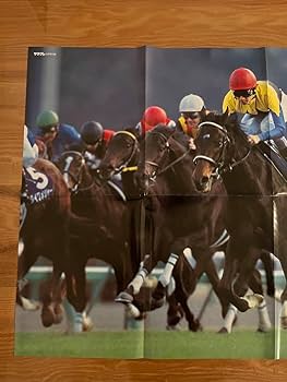 Amazon.co.jp: ディープインパクト 有馬記念 ポスター サラブレ