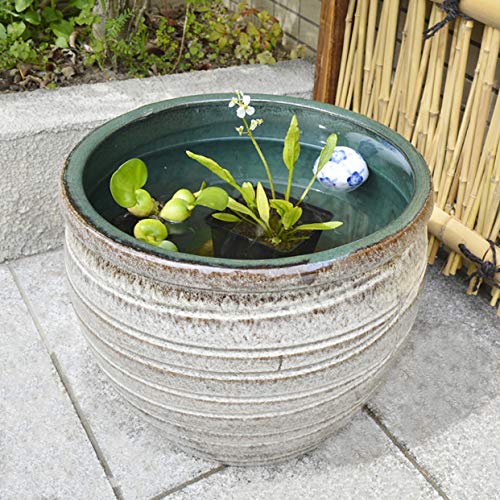 Amazon.co.jp: 睡蓮鉢 すいれん鉢 錫色 (すずいろ) 1個 直径40・高さ