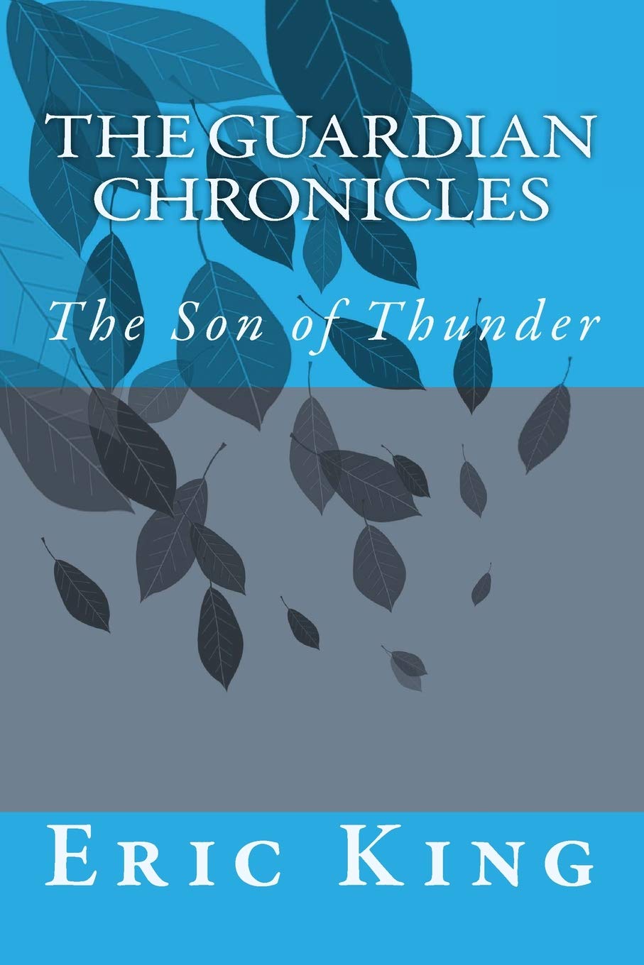 The Son of Thunder: ayy (Guardian Chronicles)