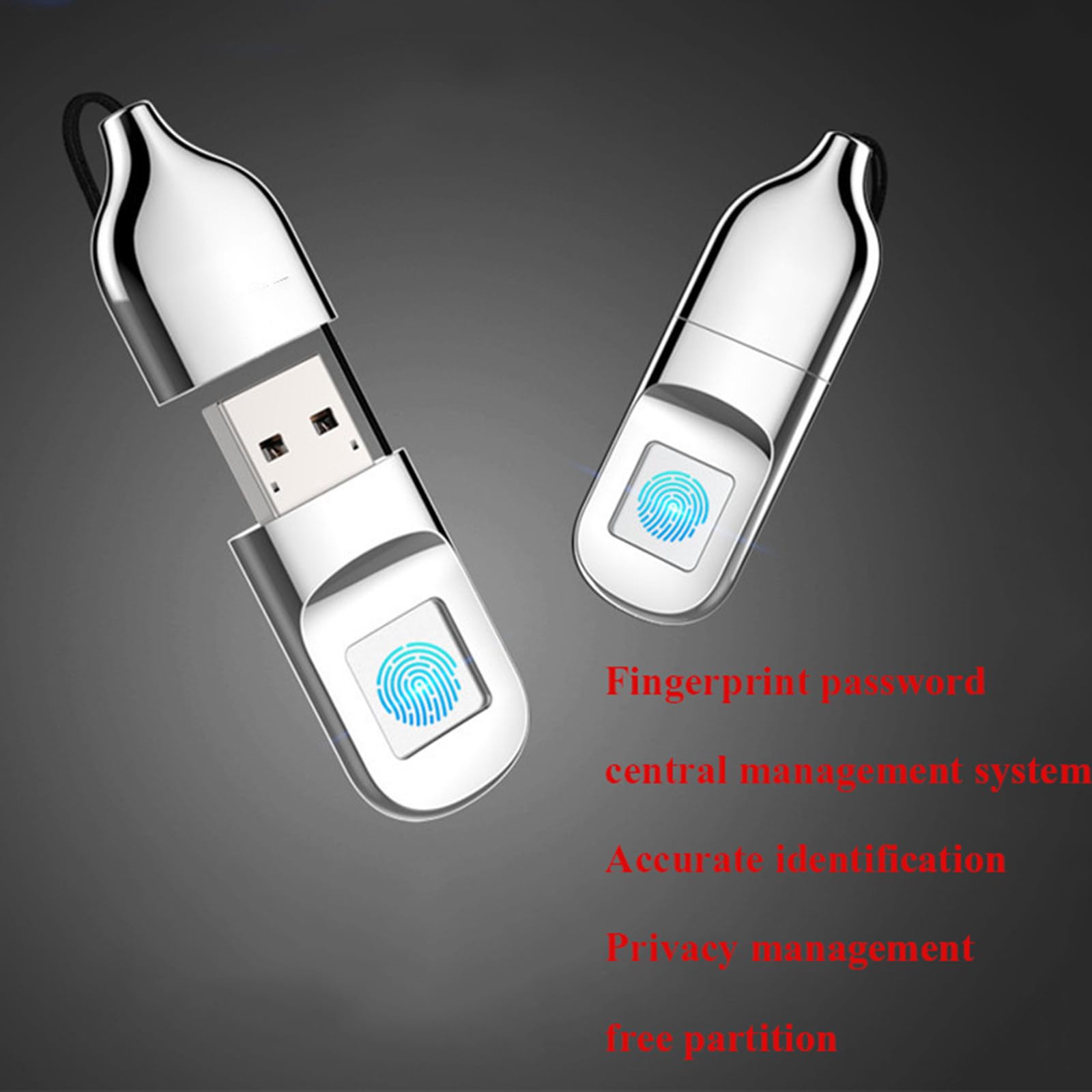 Chiavetta USB da 64 GB con crittografia delle impronte digitali con blocco USB 2.0 per Windows Linux Mac Laptop PC Memoria flash Disk Memory Stick