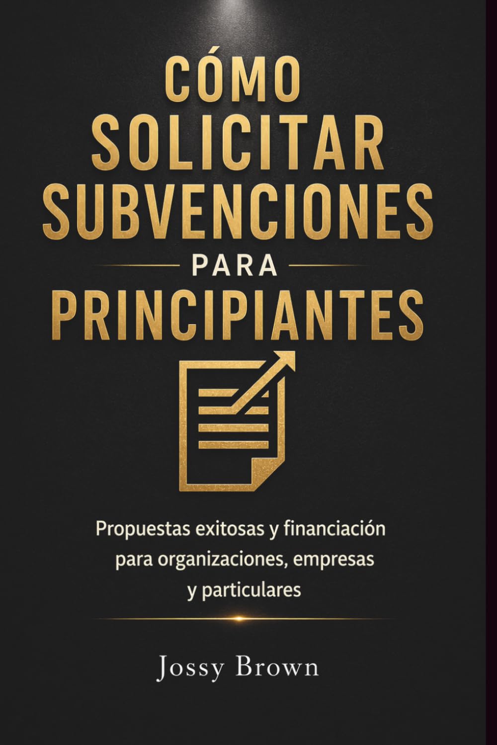 Cómo solicitar subvenciones para principiantes: Propuestas exitosas y financiación para organizaciones, empresas y particulares