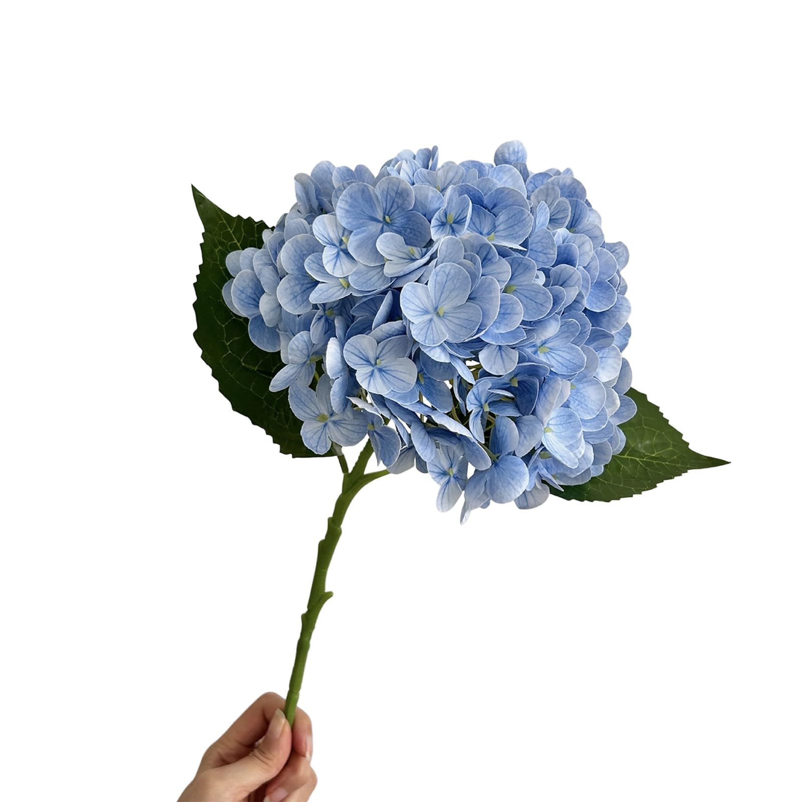 ZBIianxer Realistic Simulation Silk Hortensia Flower Fade Resistant Artificial Flower for Wedding Tabletop Centerpieces Simple Faux