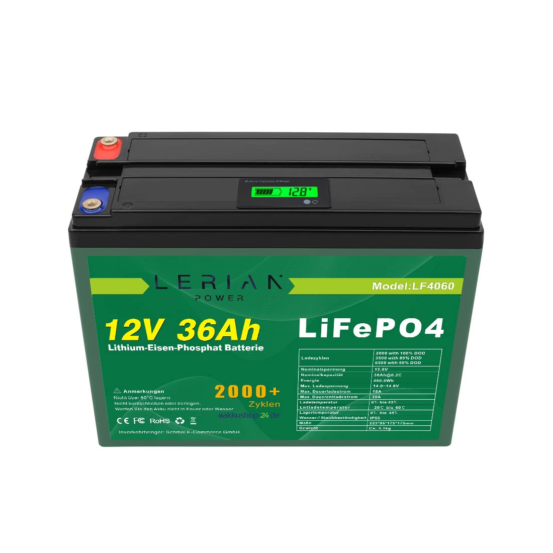 Batterie LiFePO4 12 V 36 Ah au lithium phosphate de fer pour camping bateau caravane solaire