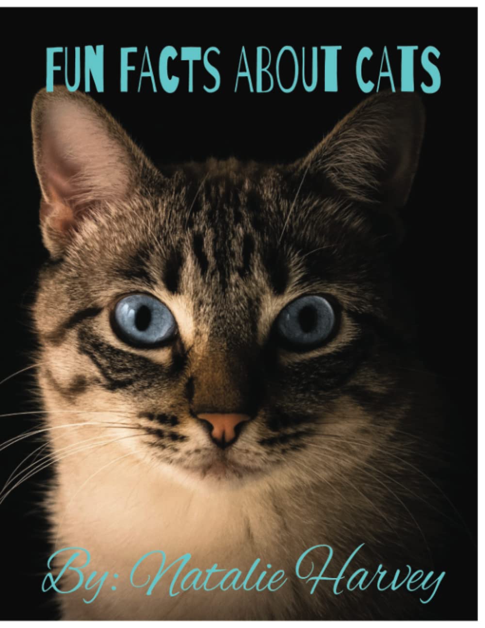 Fun Facts About Cats