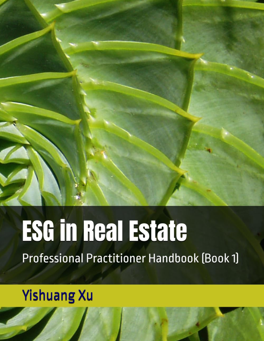 ESG in Real Estate: Professional Practitioner Handbook (Book 1)
