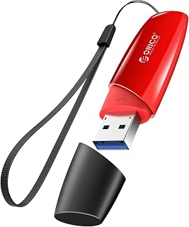 ORICO USB 3.0 Flash Drive 256GB, Memory Stick 256GB 520 MB/s Reading Thumb Drive with Keychain USB Flash Drive Metal USB Drive Data Storage Compatible with Computer/Laptop（USSD）