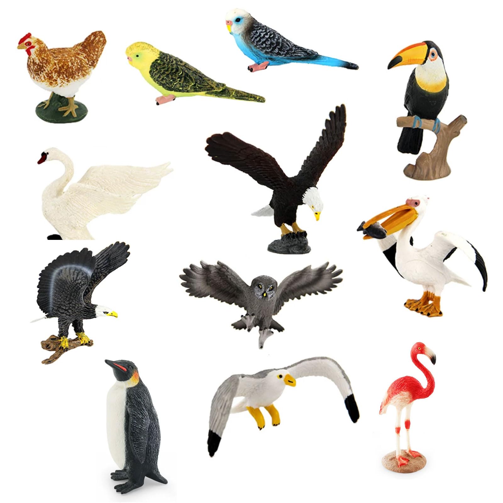Kit Figure Uccelli Selvatici Montessori, Modelli Animali Avicoli Realistici | Riconoscimento degli Uccelli e Gioco Sensoriale Mini Modelli di Uccelli Selvatici e Domestici per Bambini Piccoli