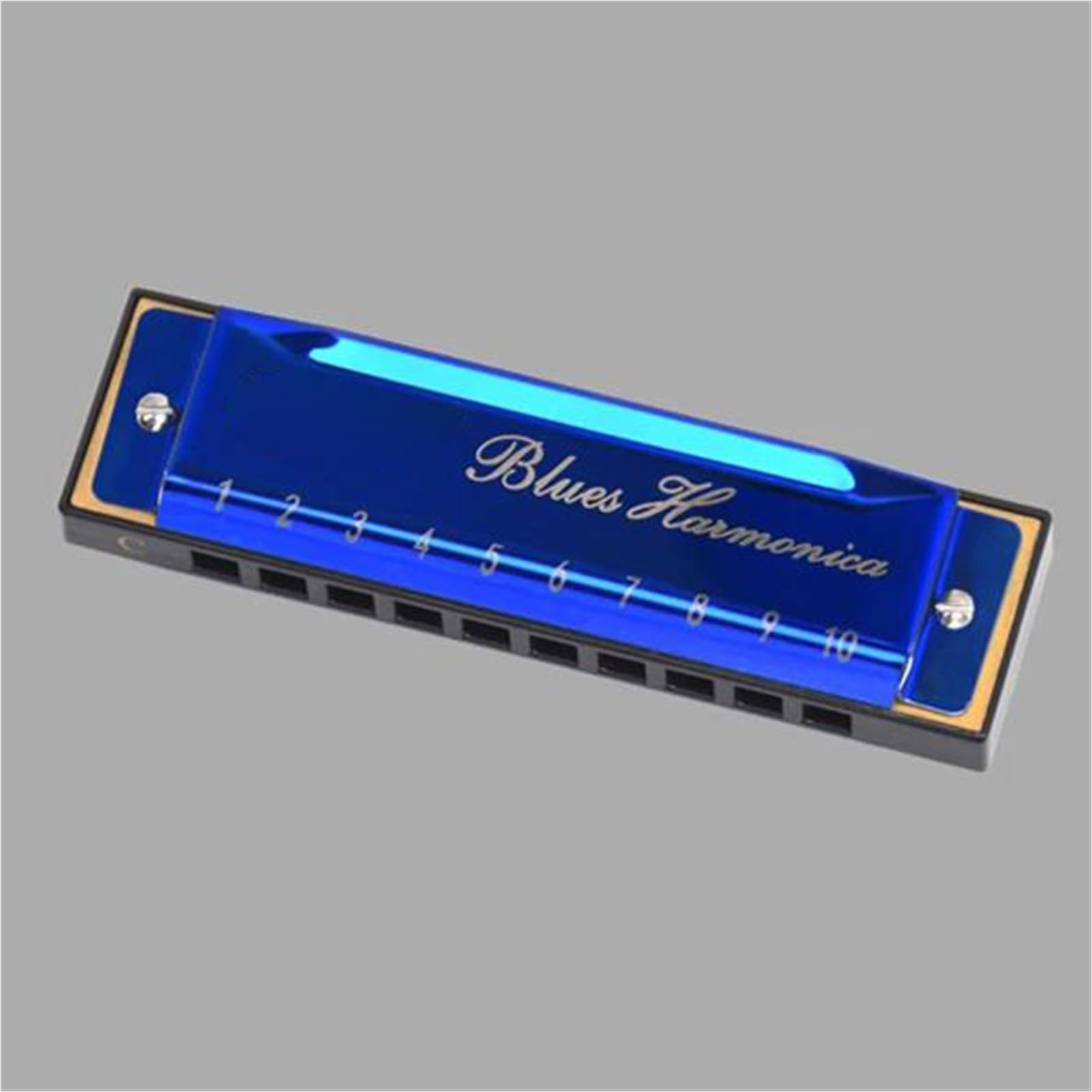 Armonica Per Principianti Armonica A Bocca C Tone Key 10 Fori Armonica A Bocca Arpa Strumenti Musicali Professionali Con Custodia(Blue)
