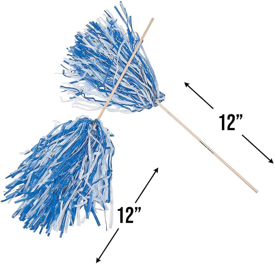 Amazon.com: Fun Express 2-Tone Navy & White Pom Poms