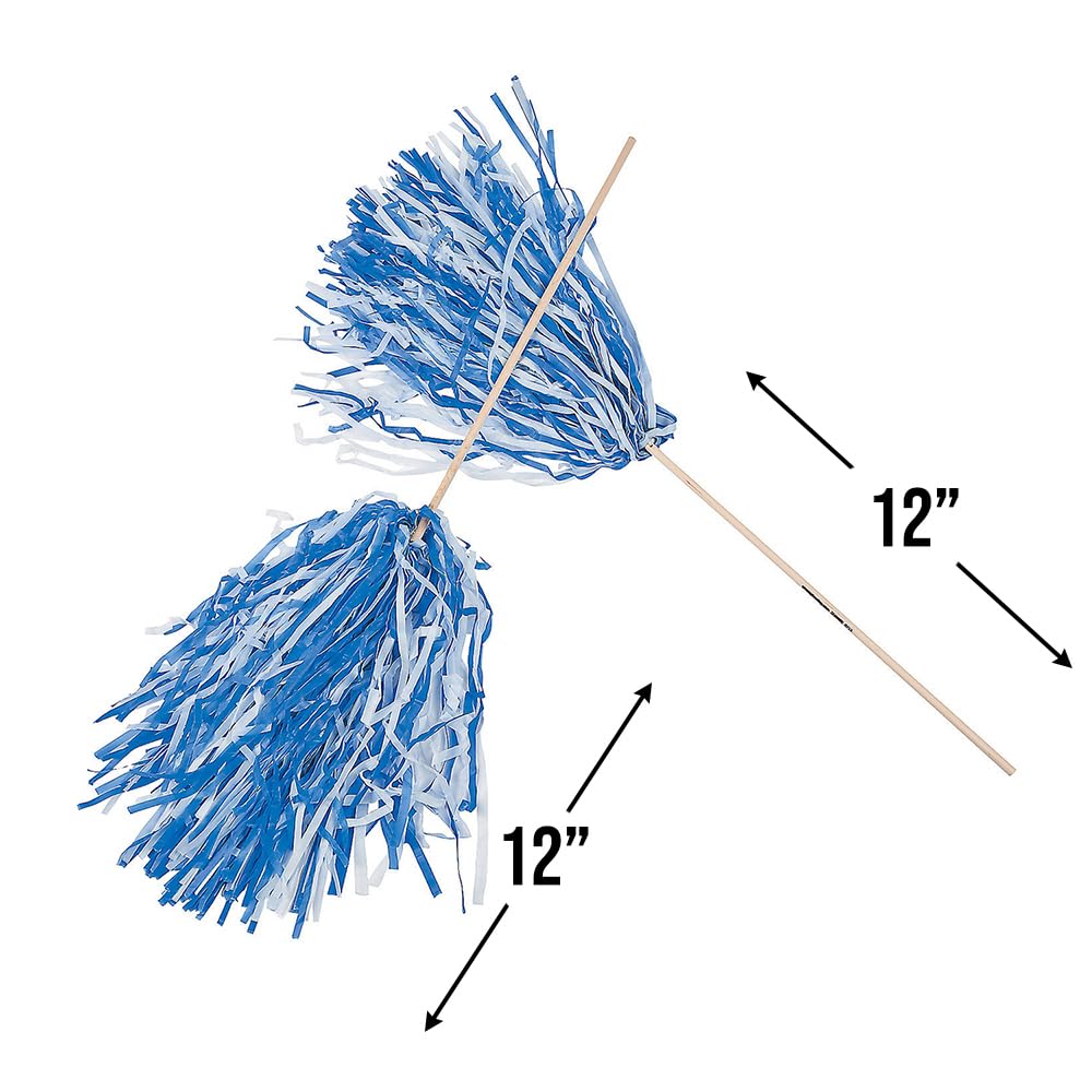 Amazon.com: Fun Express 2-Tone Navy & White Pom Poms