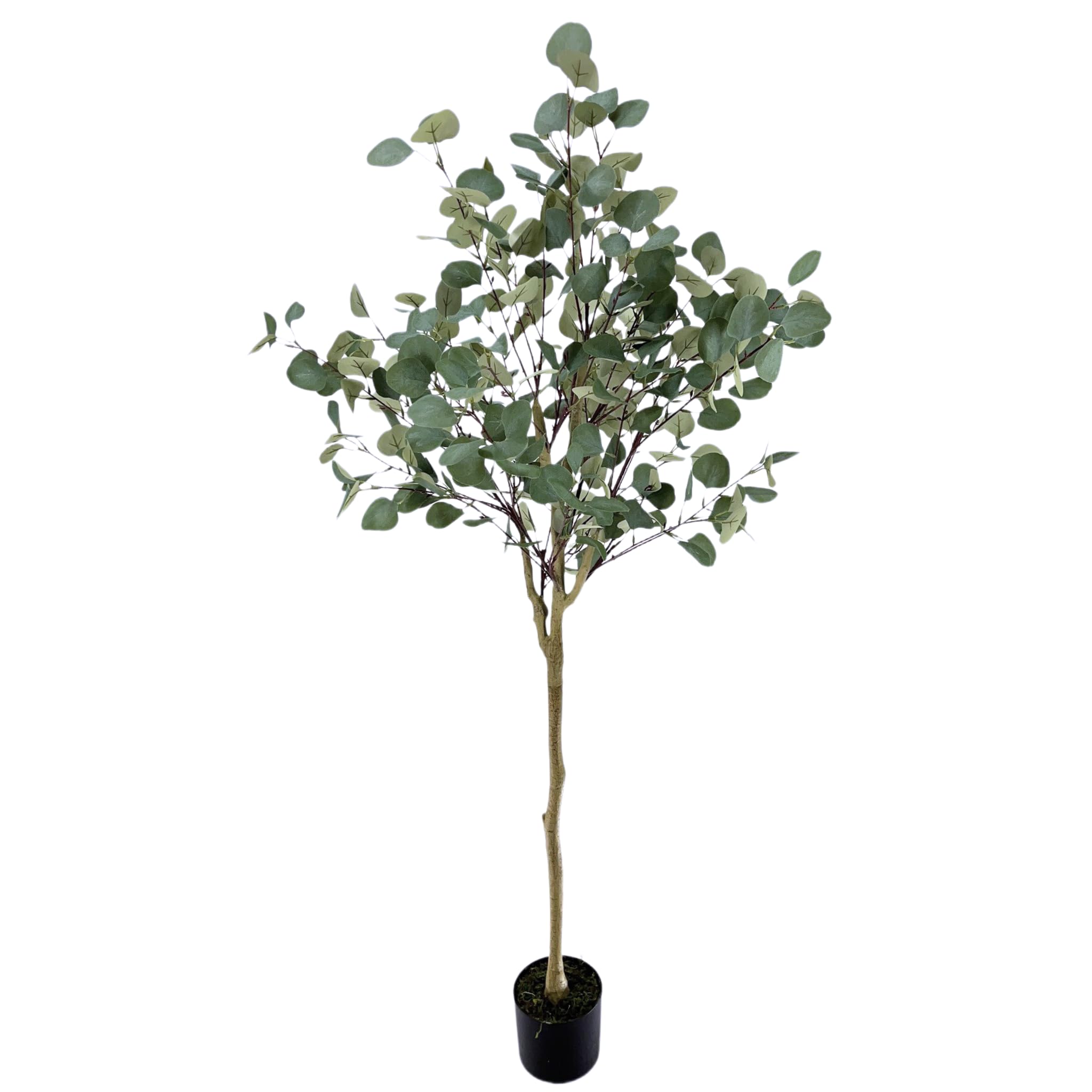 Moss and Bloom 6 Feet Artificial Eucalyptus Tree in Plastic Planter