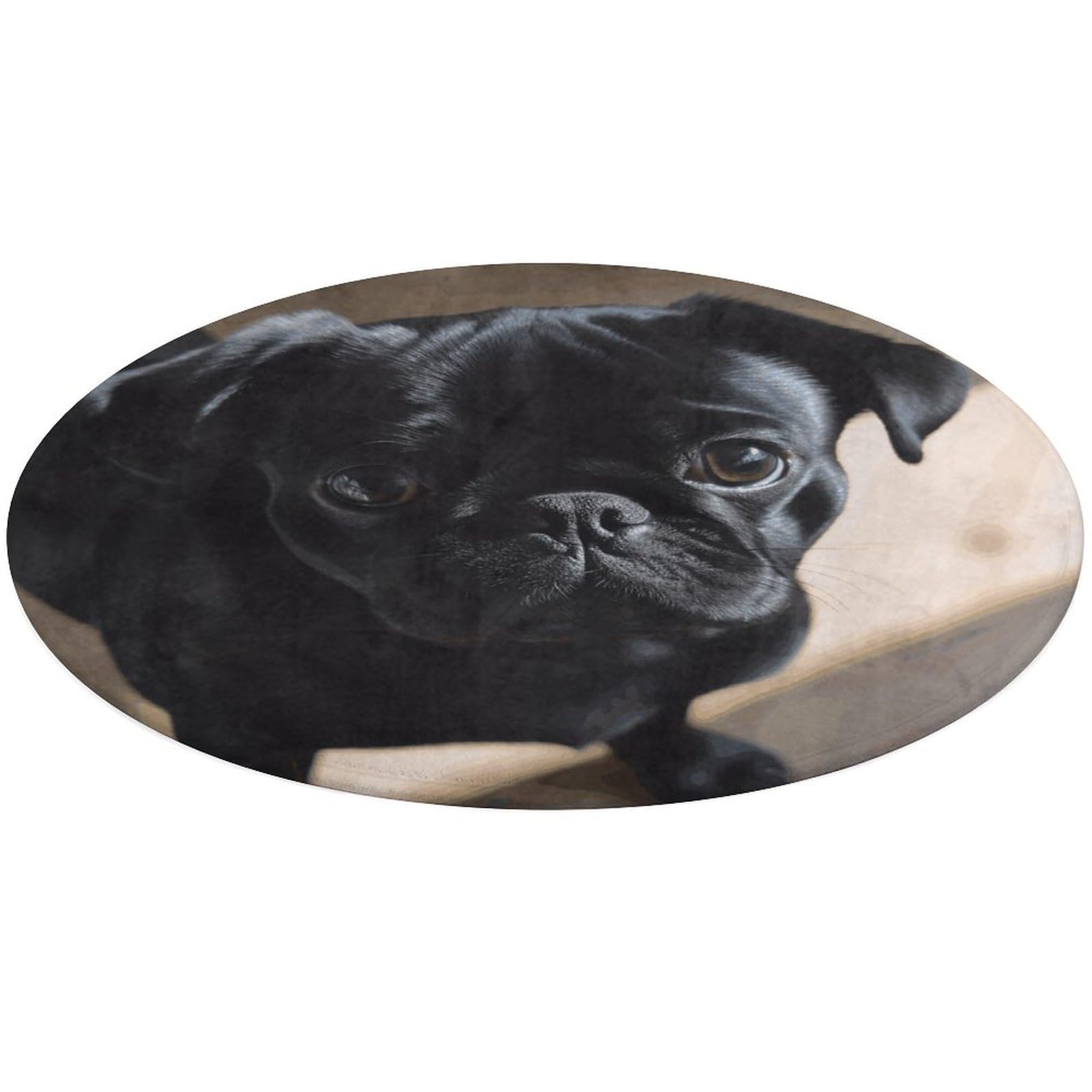 Alfombra de perro carlino esponjosa contra el suelo frío en cocina y baño
