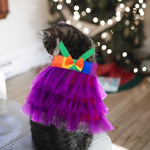 Miniatura 10 de Disfraz de arco iris para perro, vestido de princesa del orgullo gay, disfraz de gato, tutú de arcoíris de verano para gatos pequeños y medianos,