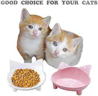 cat feeding plate