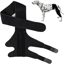 ShengQiu Dog Knee Brace for Hind Leg,Adjustable Dog Knee Brace,Cruc/iate Lig/ament Support, Leg wo/und Protector, Elbow & Back Leg Support, Leg Stabilizer for Joint Pain & Recovery