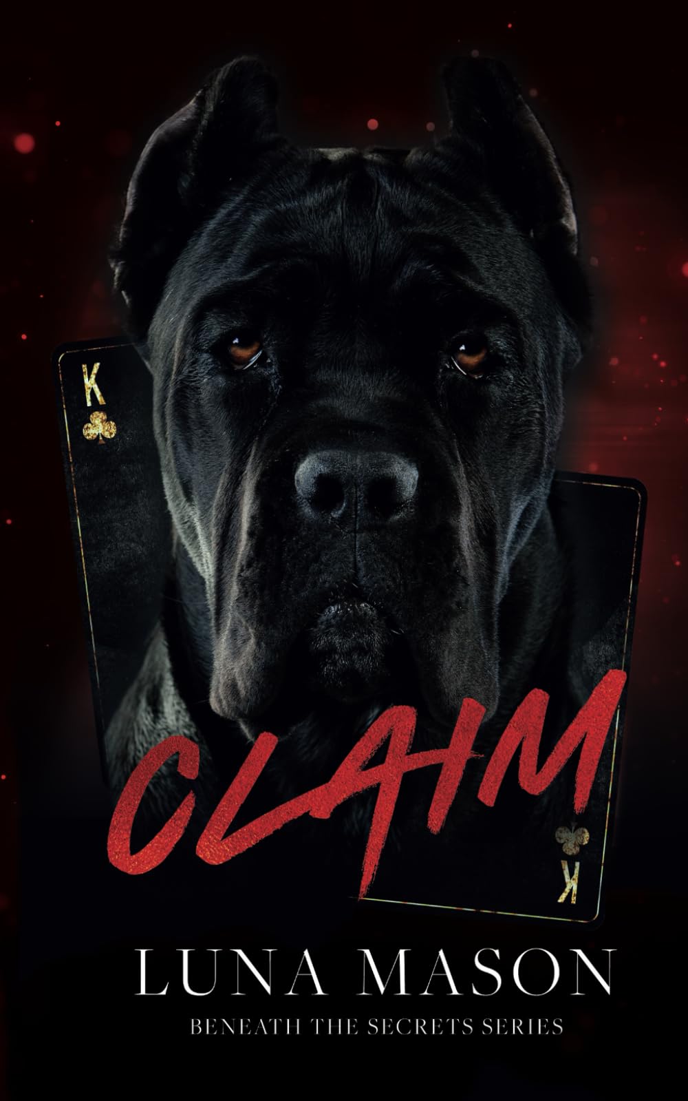 Claim (Discreet Special Edition) (Beneath The Secrets: Special Edition Discreet Covers)