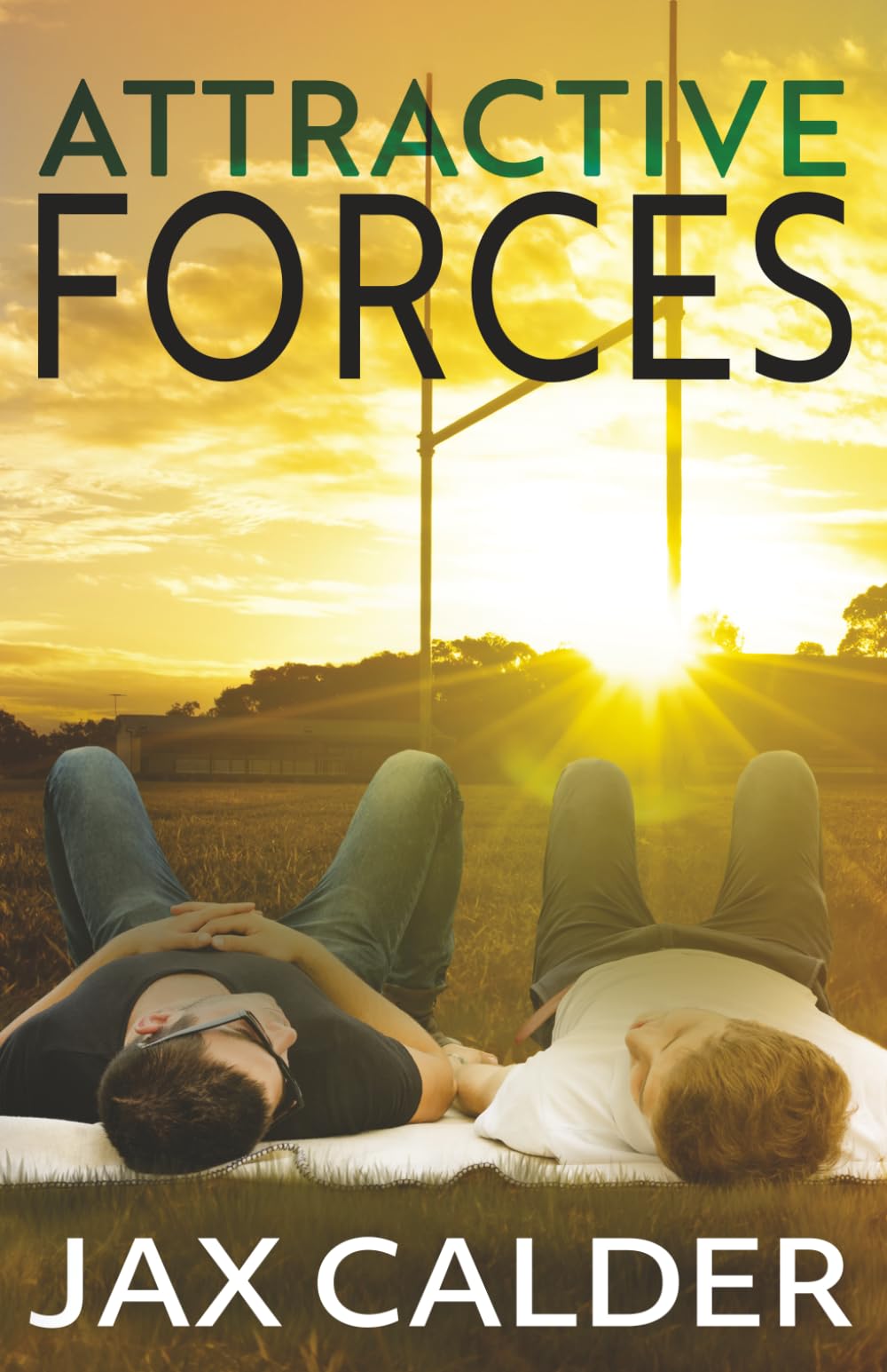 Attractive Forces: A YA/New Adult M/M standalone romance