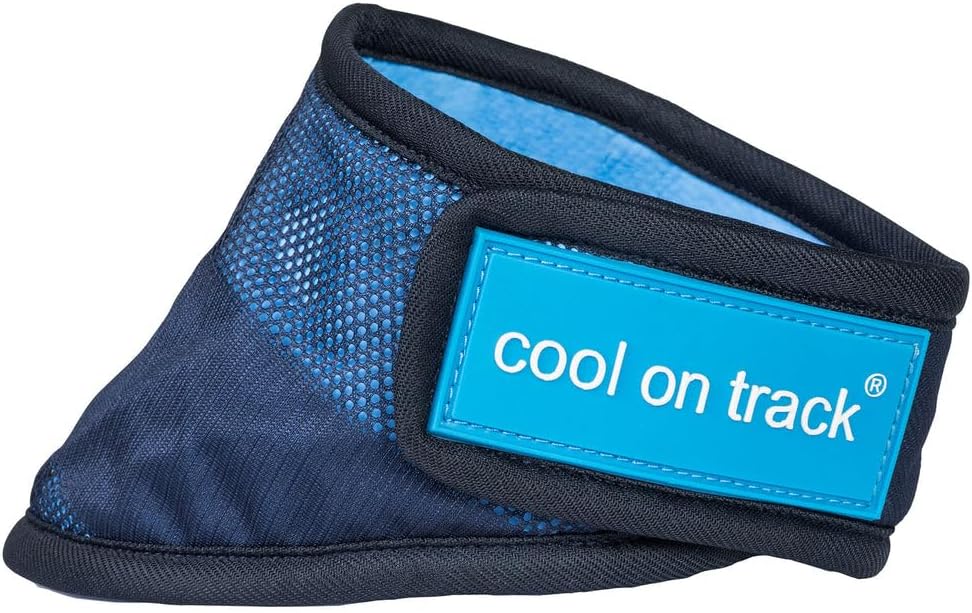 Revive Your Style: Cool On Track Bandana, Size M Revive Your Style: Cool On Track Bandana, Size M