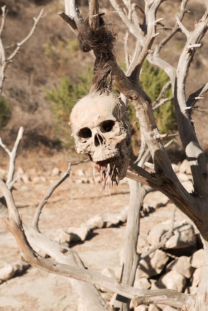 Bone Tomahawk - DVD [HD DVD]