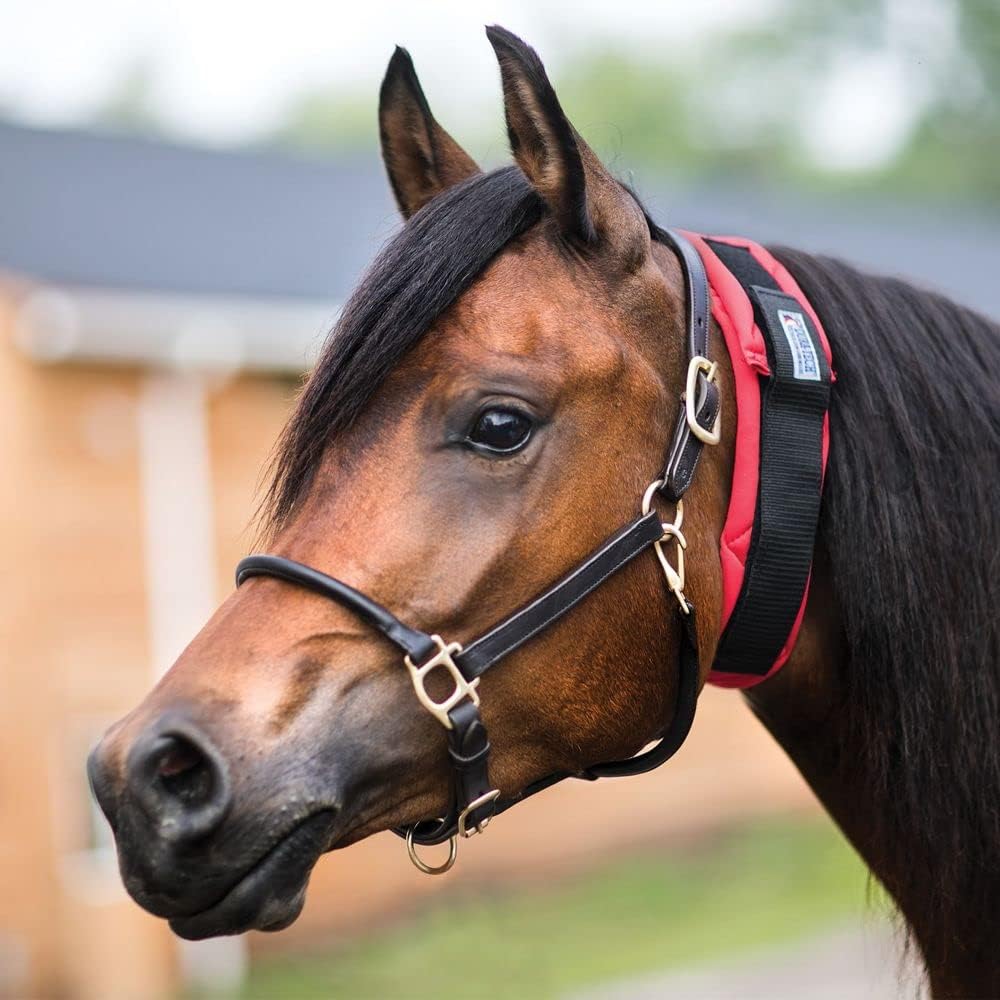Dura-Tech All Day Throatlatch Wrap for Horses | All Day Comfort Without Overheating | Prevents Rubs | Snug Yet Comfortable Fit | Suitable for Prolonged Use | Size Full Size