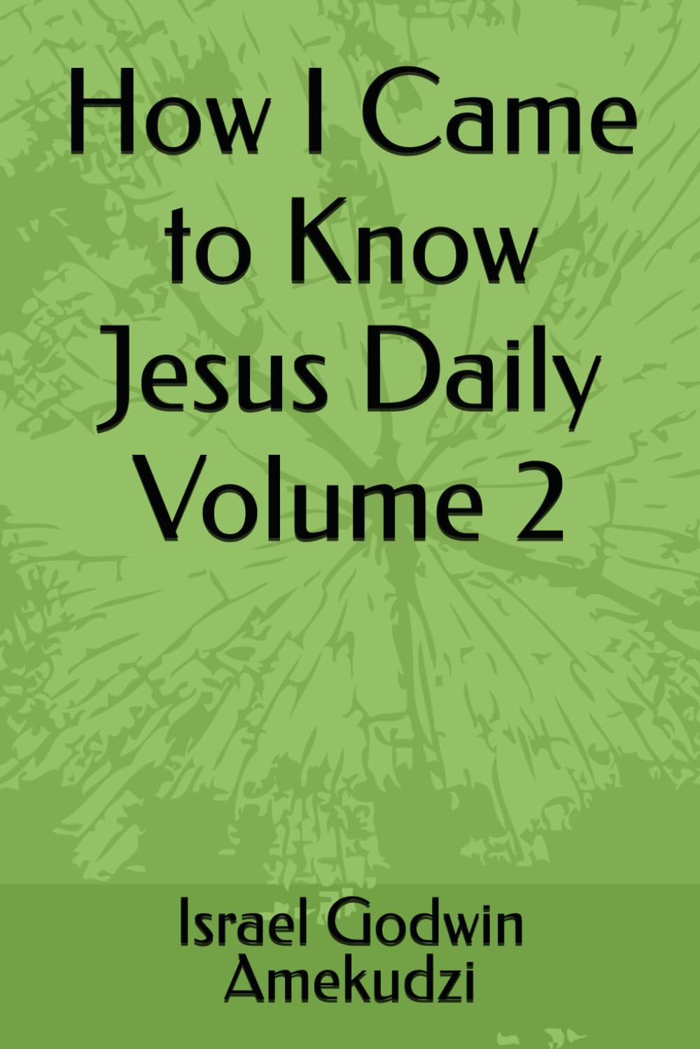 How I Came to Know Jesus Daily Volume 2