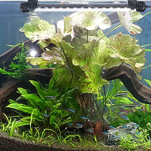 Image of LED Aquarium Light, White Fish Tank Light Underwater Submersible Bright IP68 Waterproof Crystal Glass LEDs Lights Strip Lighting Bar with ON /Off Button, 11 Inch