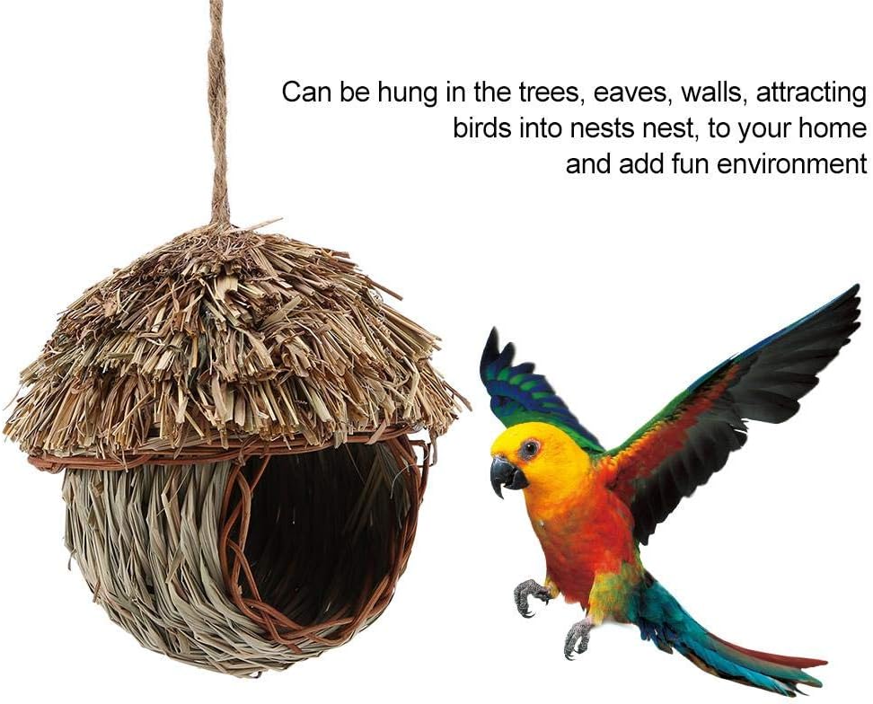 nido per i fringuelli