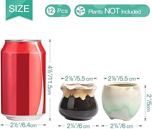 Miniatura 7 de T4U Macetas pequeñas de cerámica para suculentas de 2.5 pulgadas con orificio de drenaje, juego de 24, recipientes pequeños de cactus esmaltados y
