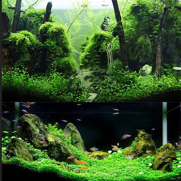 Image of VAYINATO Aquatic Remedies Platinum Planted And Shrimp Aquarium Soil, Product Of Japan (1L)