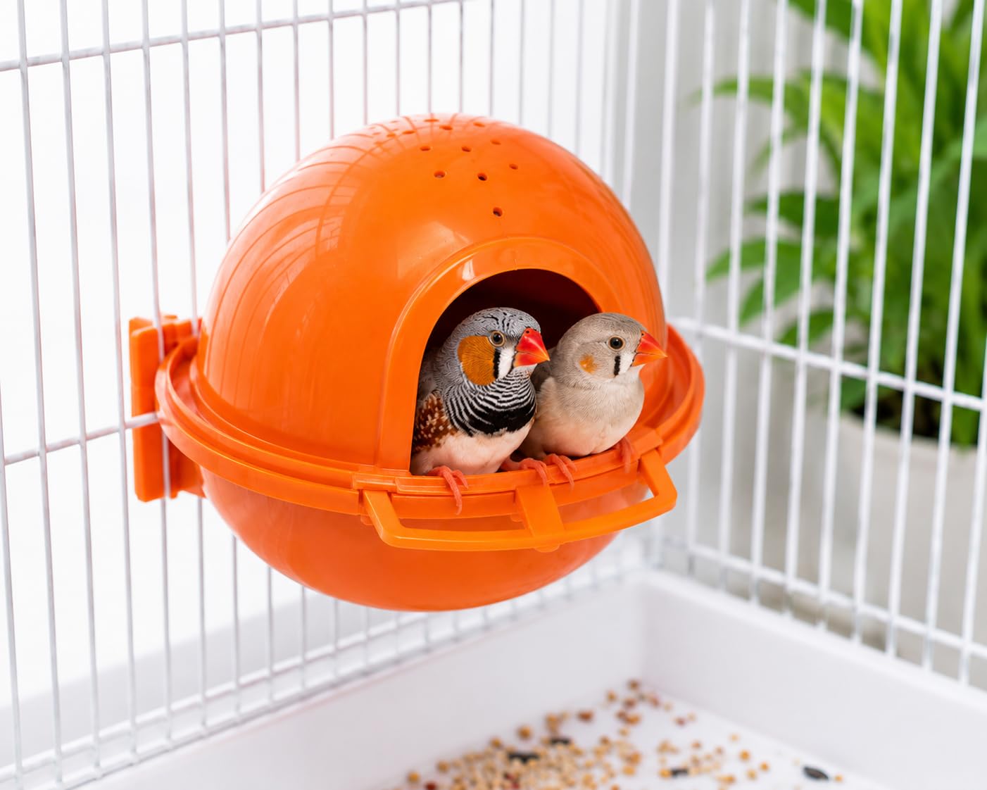 Premium Bird Nest Box for Finches & Sparrows | Plastic Breeding Nest House | Easy Clip-On Cage Nest | Ventilated & Easy to Clean | Cozy Nesting Shelter for Small Birds | Ventilated Airflow Design Secure Clip On Mount Easy Open & Clean Maintance-image-21
