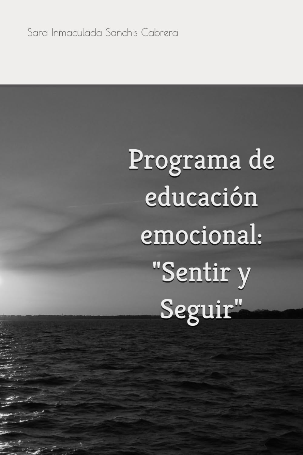 Programa de educación emocional: "Sentir y Seguir"