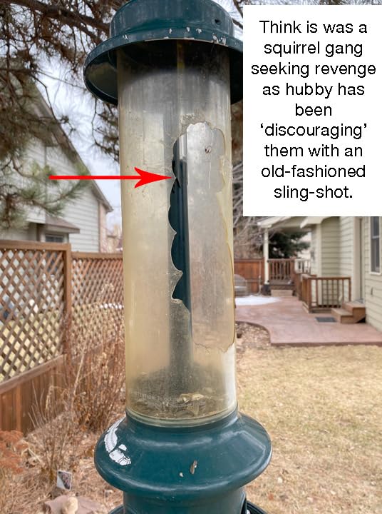 Great feeder - EXCELLENT Customer Service - 10 yr review