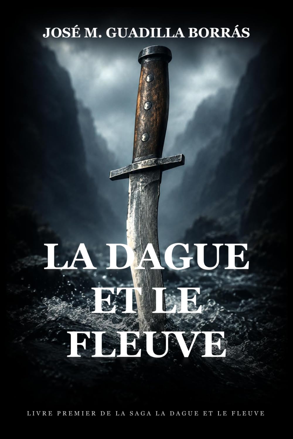 La Dague et le Fleuve: Un roman historique épique
